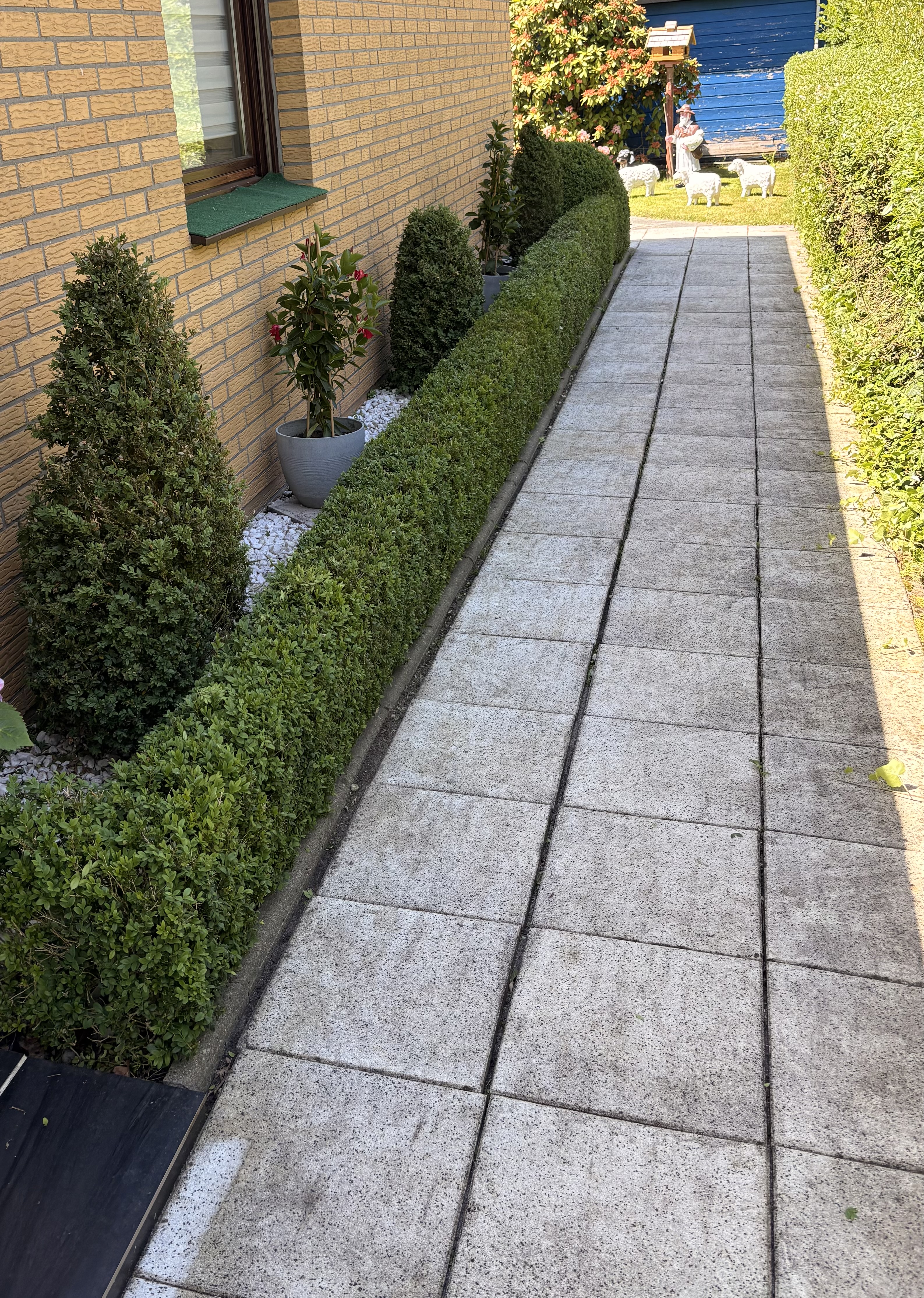 Gartenarbeit der Friedhofsgärtnerei Dettmers