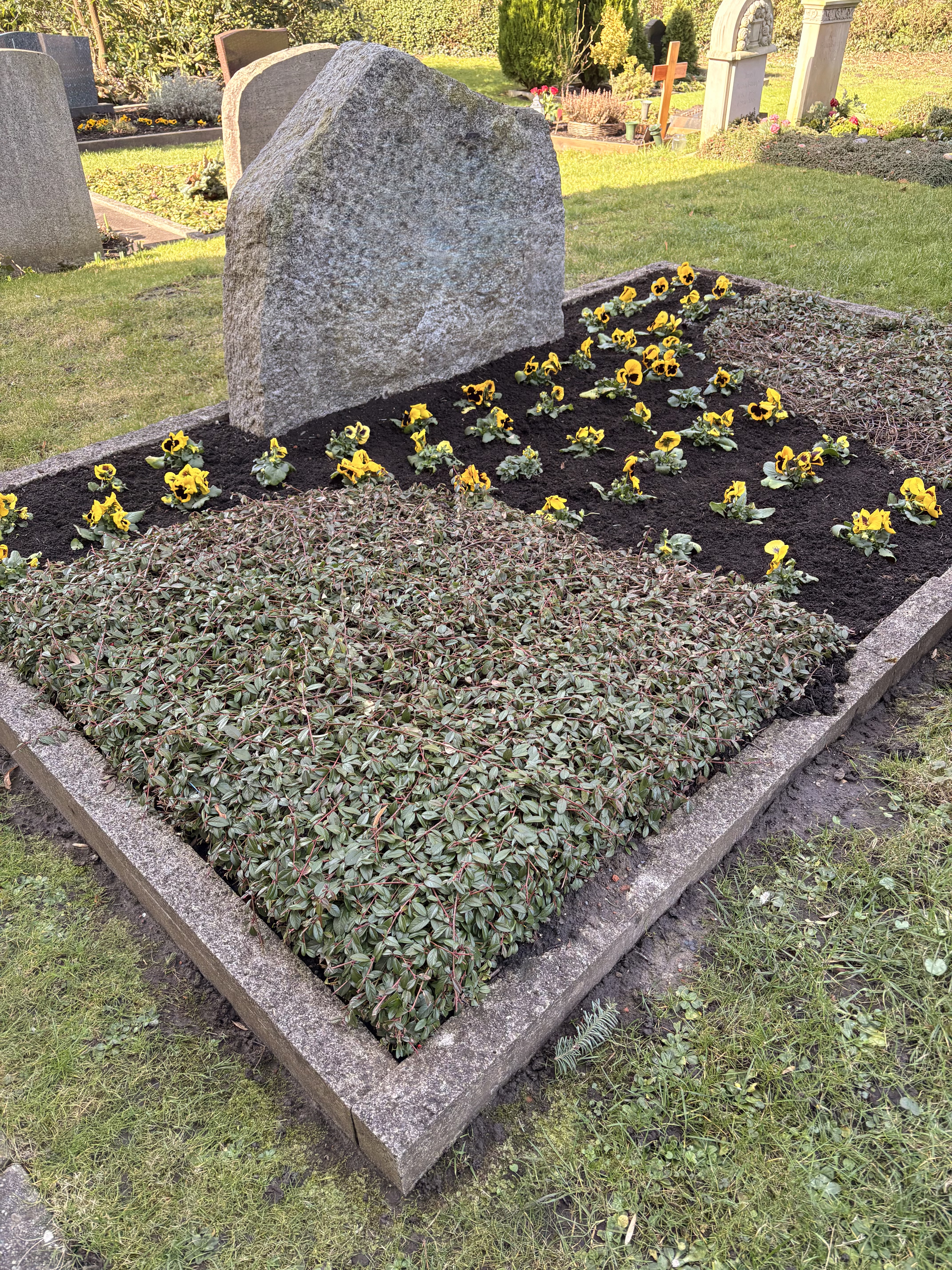Gepflegte Grabstätte mit Bepflanzung und frischen Blumen