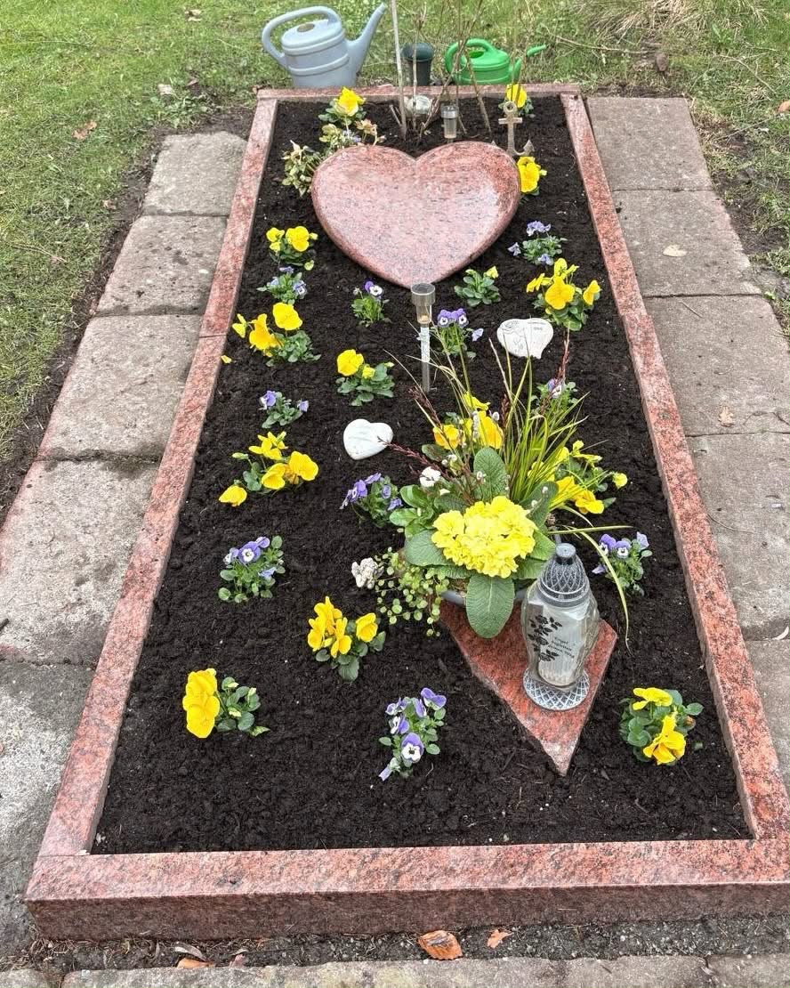 Grab mit rotem Herzstein nach der Neubepflanzung mit gelben Frühlingsblumen